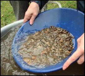 Gold Panning